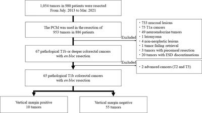 Endoscopic Submucosal Dissection of Deeply Invasive Colorectal Cancers Using the Pocket-Creation Method: Analysis of Vertical Margins